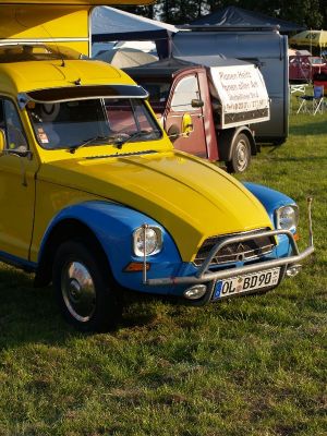 DET017