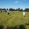 DET064