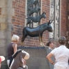 DET162