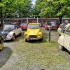 dampfe_013