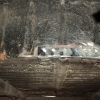 DSC00619